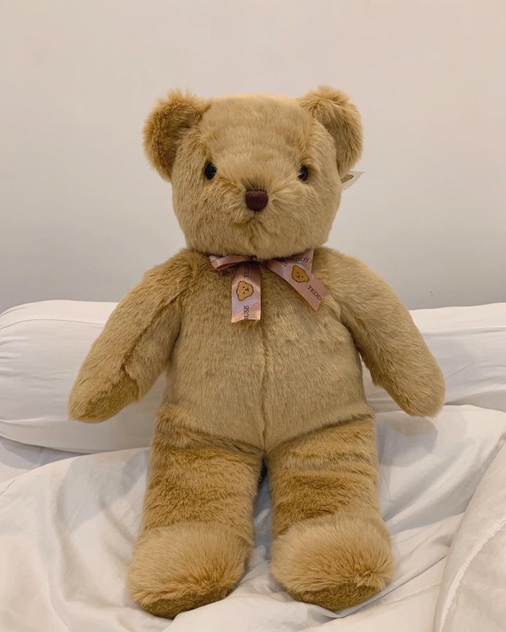 Teddy house harga hotsell