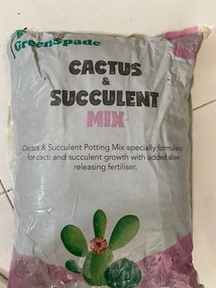 (Category: ) located in . Submitted by miin.plants (Listing ID 1132044622, Image 1). Description: .