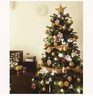 (Category: ) located in . Submitted by joycefaye (Listing ID 1132100073, Image 1). Description: .