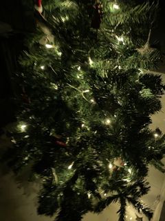 (Category: ) located in . Submitted by purplecarpet (Listing ID 1132152347, Image 1). Description: .