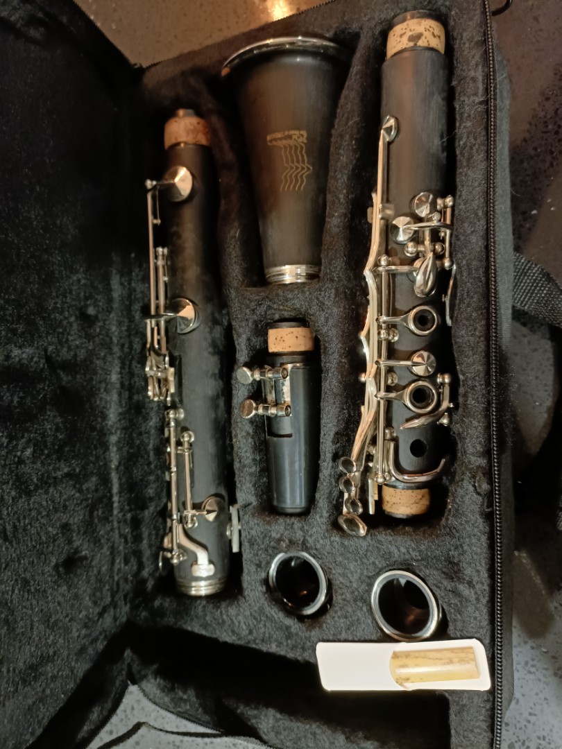 for sale, lightly used and comes with new mouth piece, Hobbies