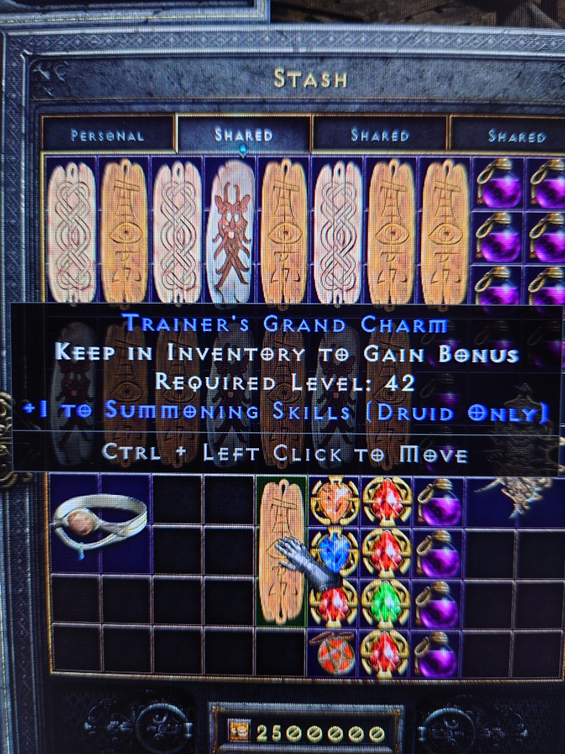 D2R Diablo Druid Skill Charm Summoning, Video Gaming, Gaming Accessories,  In-Game Products on Carousell