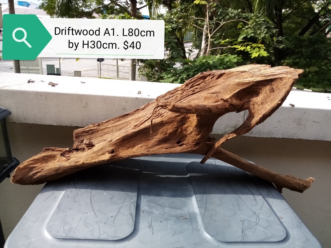 Extra Large beautiful sinking driftwood, Pet Supplies, Homes & Other