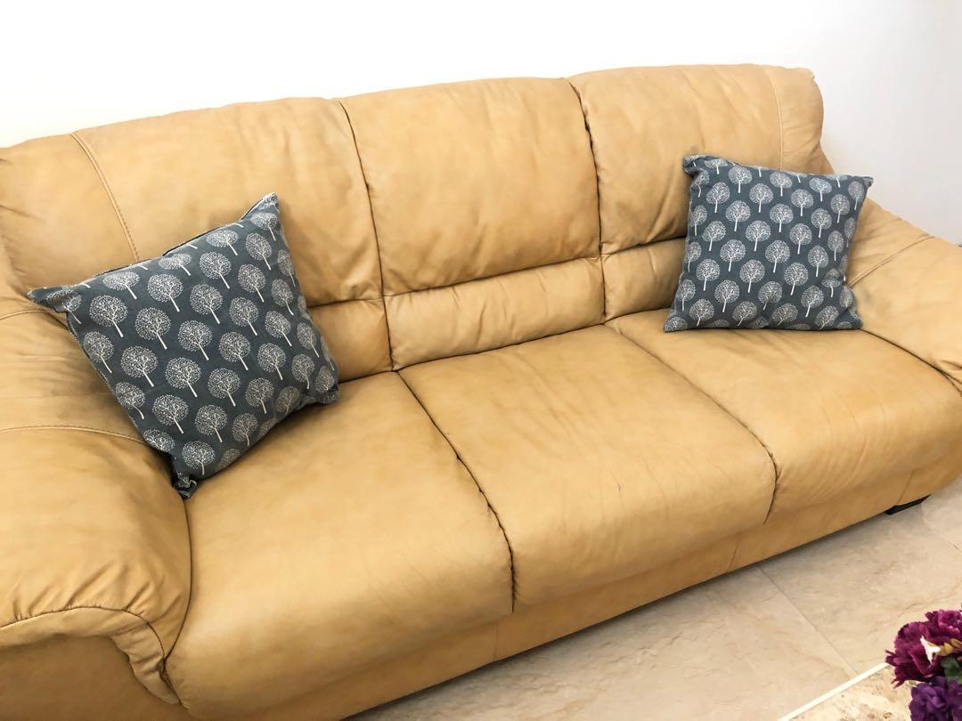 Natuzzi Sofa Full Leather 3 1