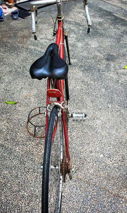 vintage ross road bike