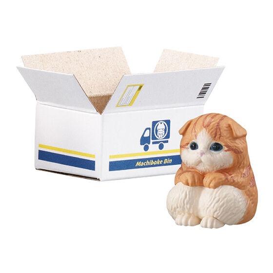 三上屋行版MACHIBOKE 等待收養的貓子貓貓仔貓造型公仔扭蛋全5款紙箱