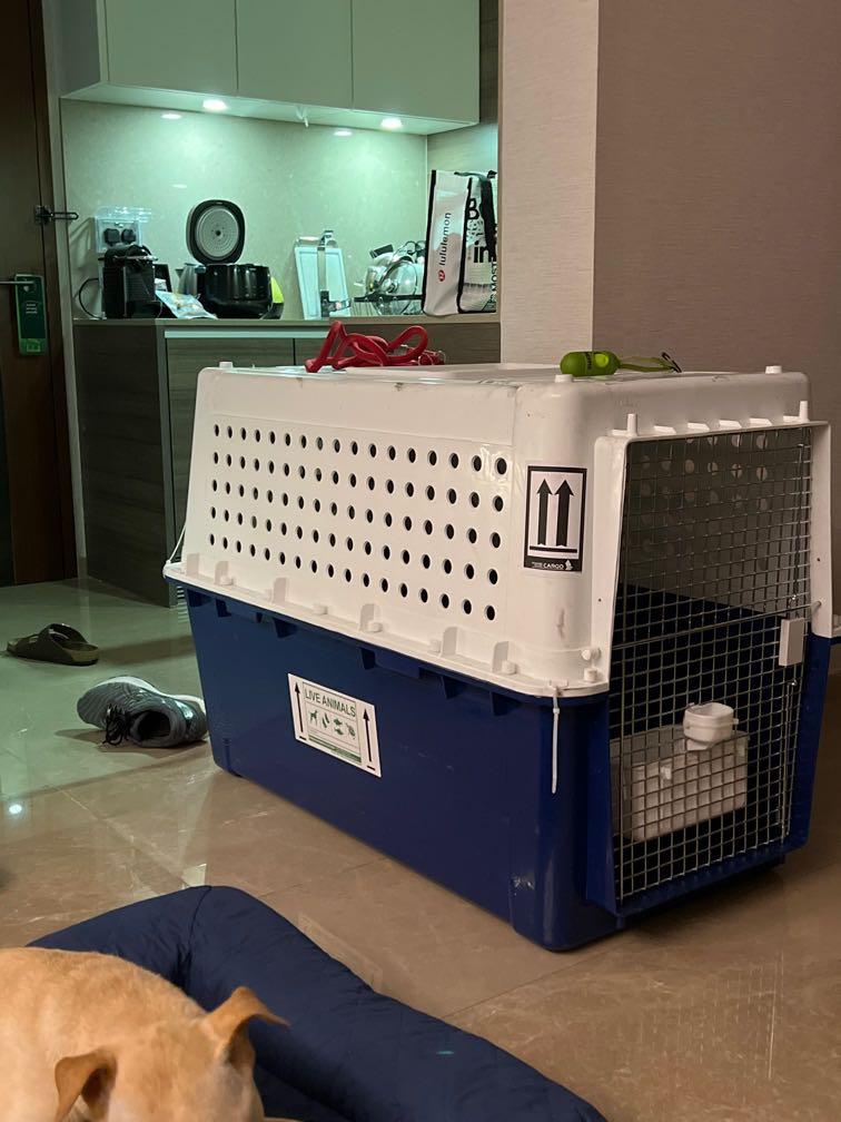pp70 dog crate