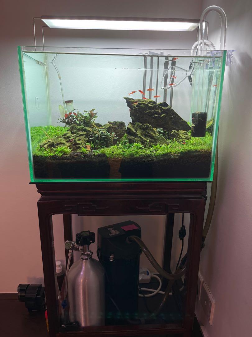 Fish Tank Full Setup, Eheim, CO2, Lily Pipes etc, Everything Else on