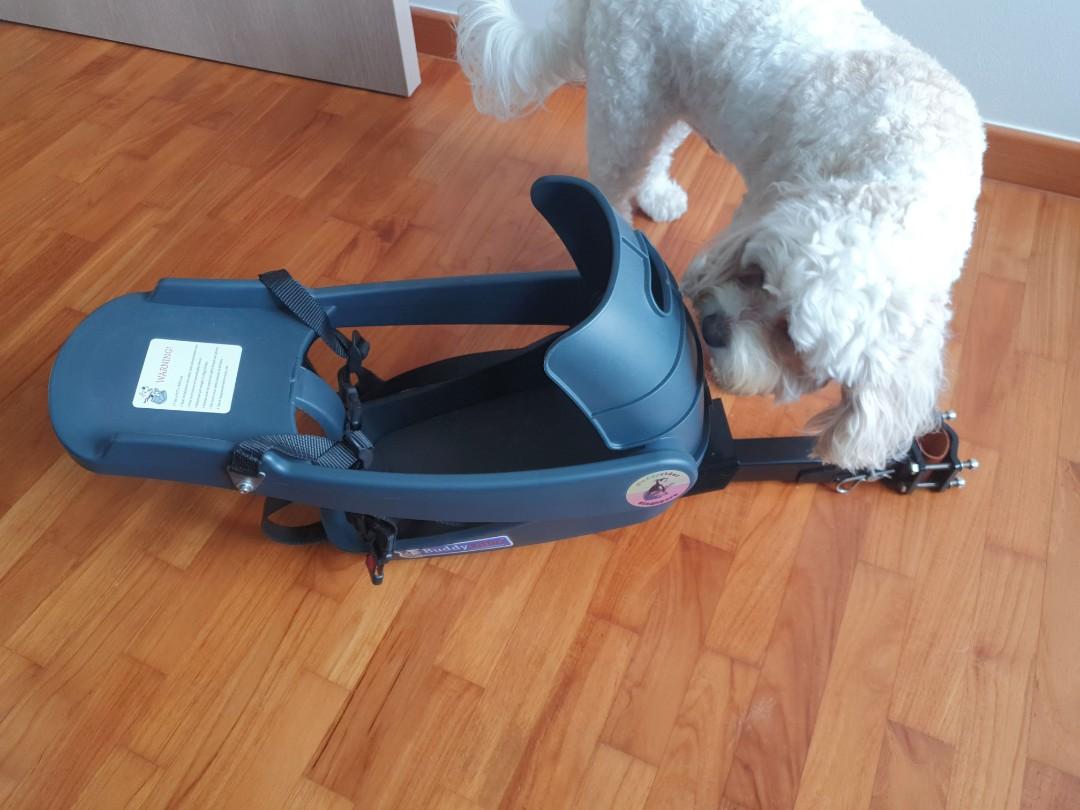 Buddyrider pet bicycle seat, Sports Equipment, Other Sports Equipment