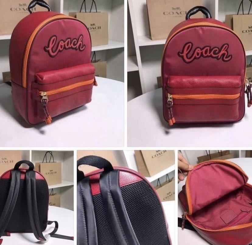 coach vale backpack