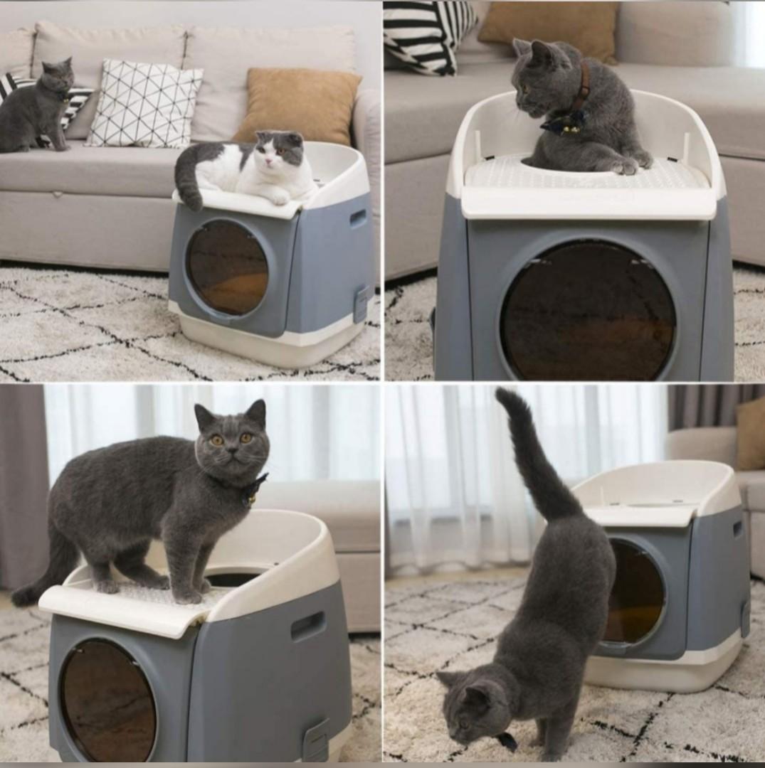 Dadypet cat deals litter box