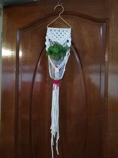 Makrame plant hanger with plant