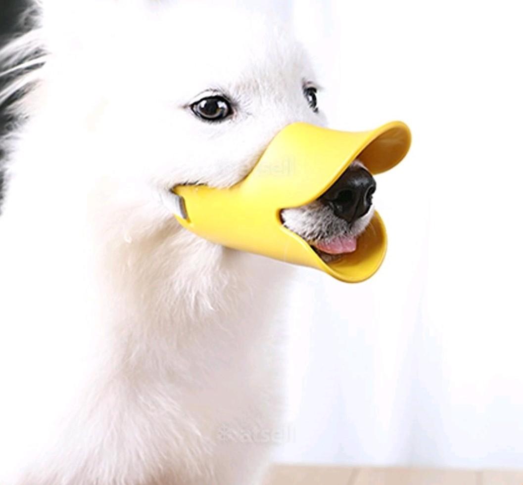 duck muzzle