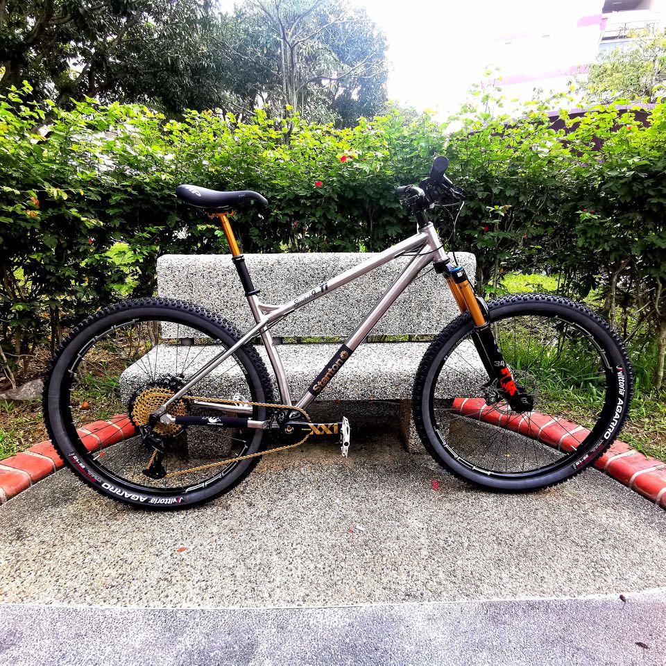 Stanton 29er sales