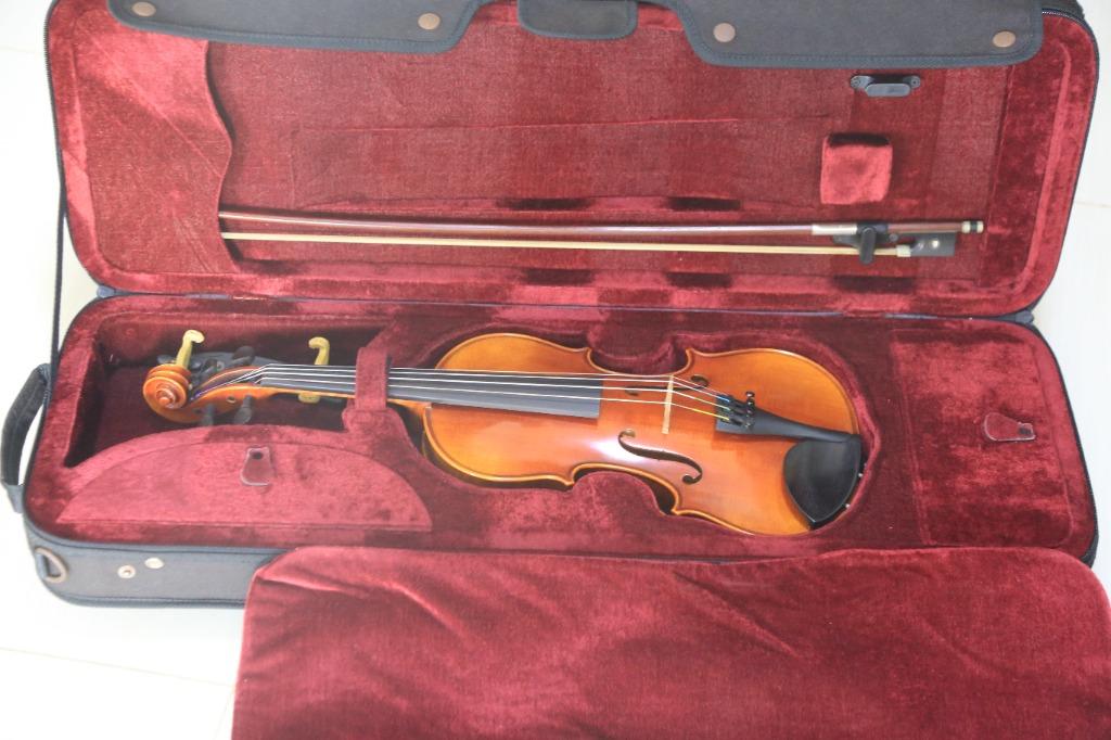 Gcv violins online