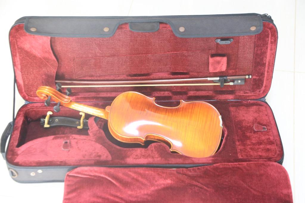 Gcv violins sales
