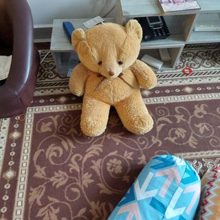 (Category: ) located in . Submitted by delta5253 (Listing ID 1132466213, Image 1). Description: .