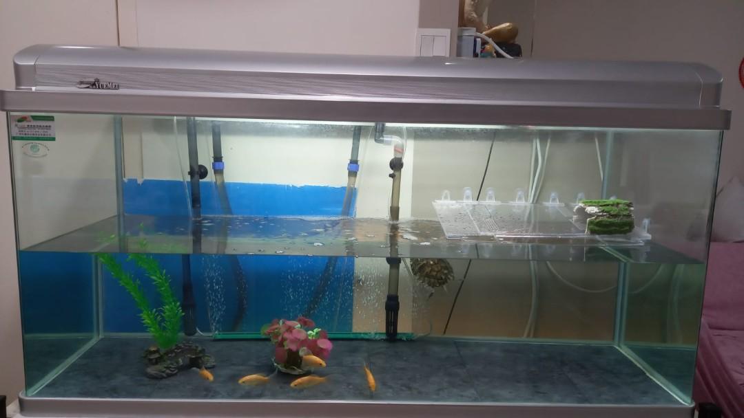 4ft fish discount tank for sale