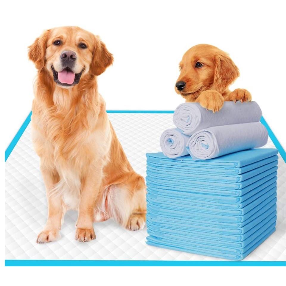 doggie pee pads