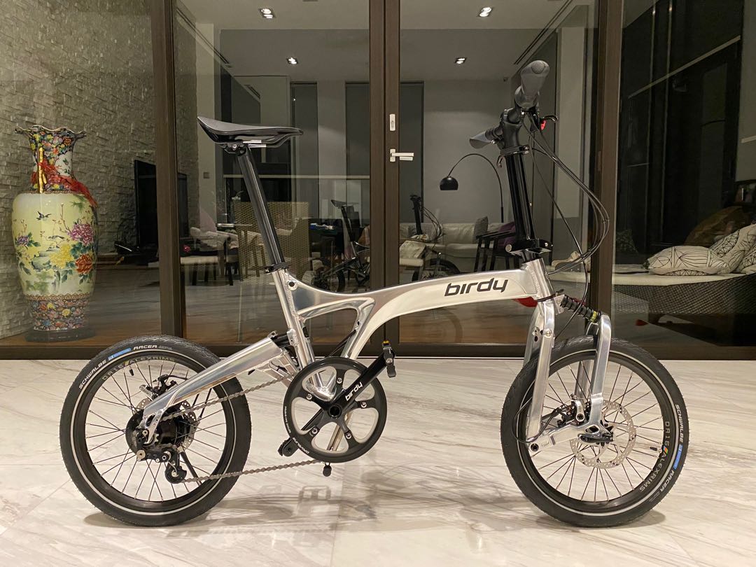 Birdy Rohloff Polished Silver