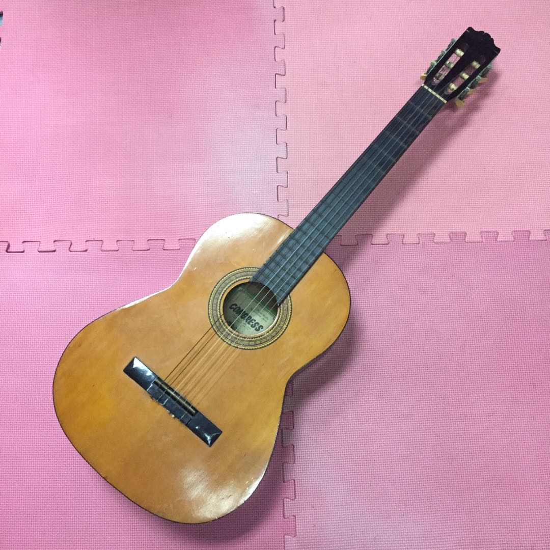 Congress guitar shop brand