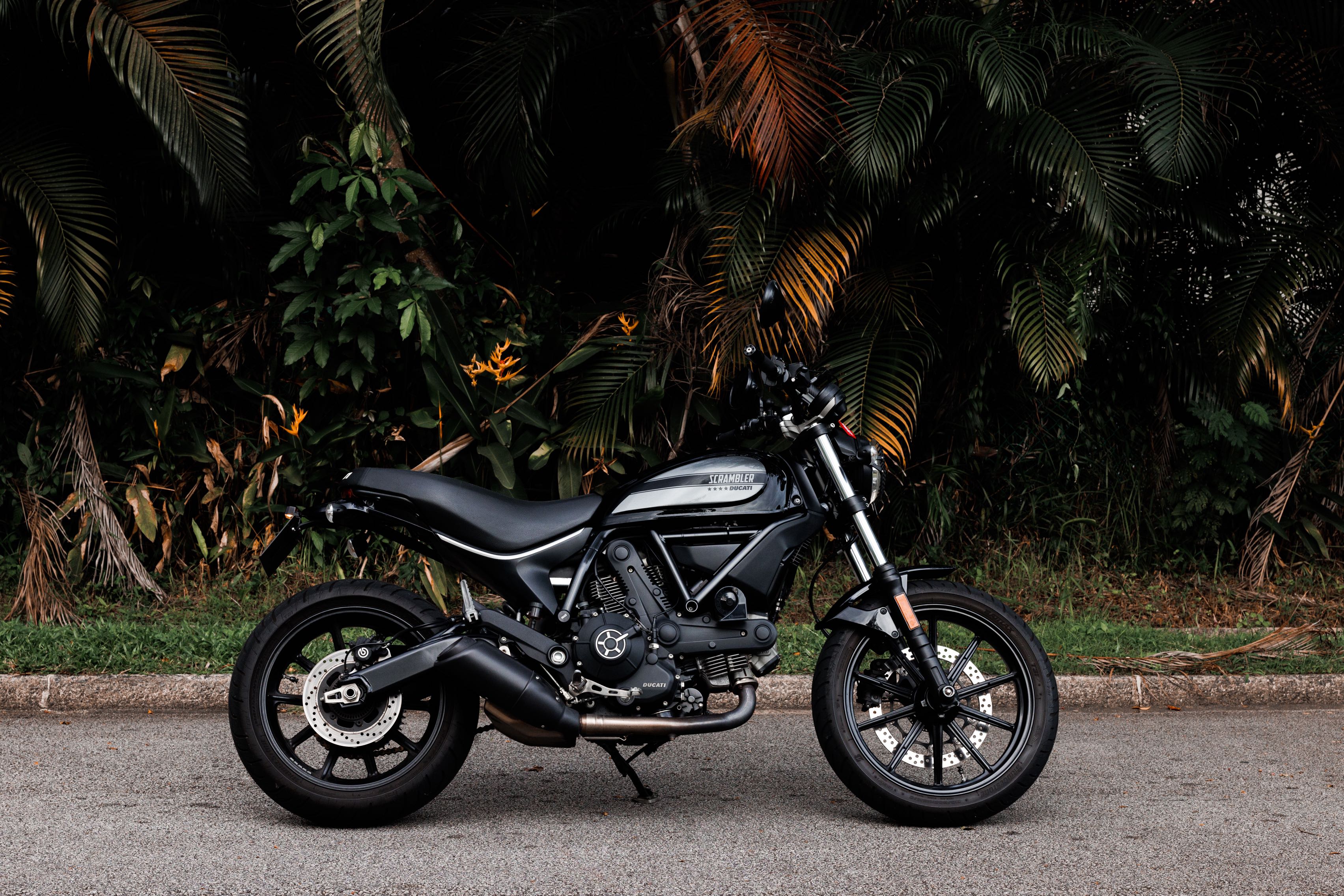 Ducati scrambler sales sixty2 black
