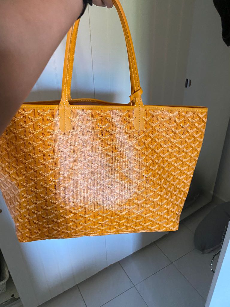 Maison Goyard Saint Louis PM Bag (Green), Luxury, Bags & Wallets on  Carousell