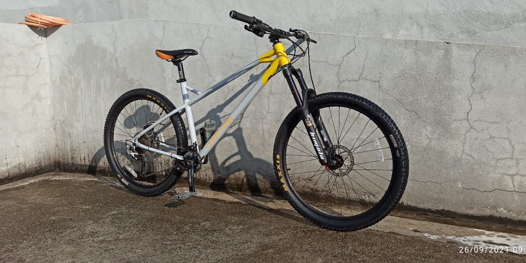 Hardcore Hardtail MTB Frame Only