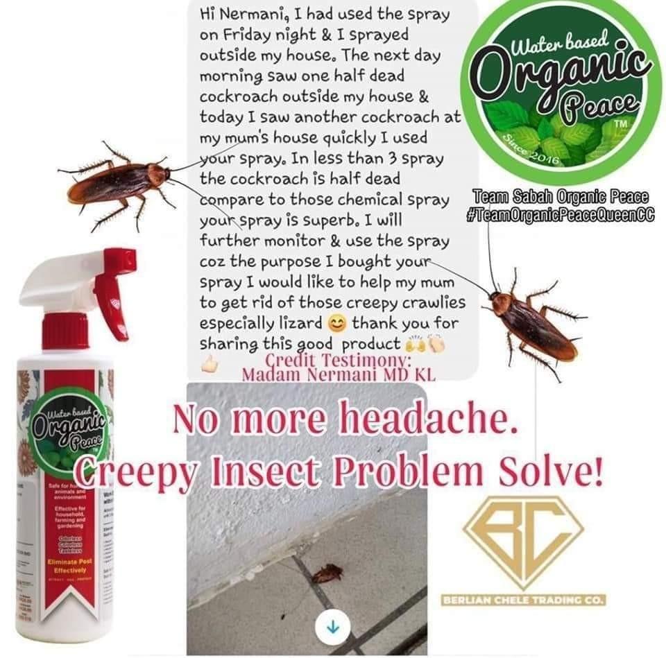 ORGANIC PEACE SPRAY / ORGANIC PESTICIDE / WATER BASED PESTICIDE