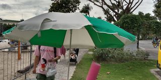 (Category: ) located in . Submitted by 12345678abcd (Listing ID 1132445627, Image 1). Description: .