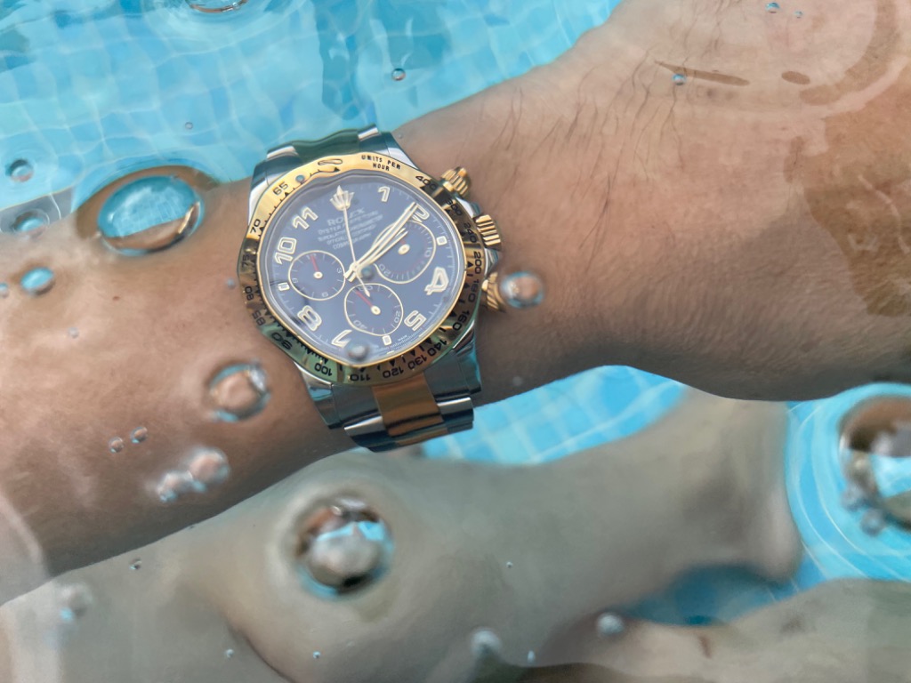 Daytona two tone cheap blue dial