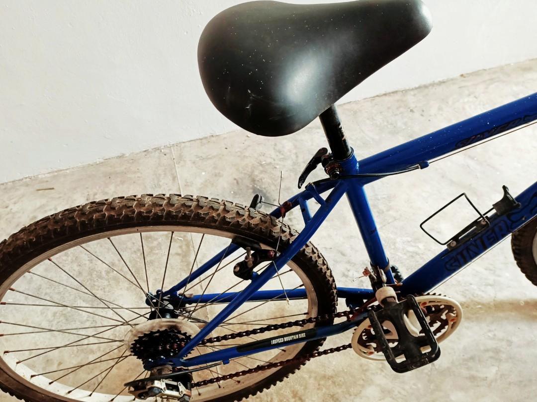 SilverFox Mountain bike 18 speed 26