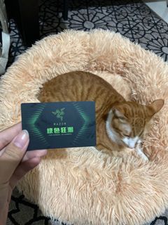 由 lily___00 (刊登 ID 1129234854，圖片 1) 提交，位於 的 (類別：)，說明：。