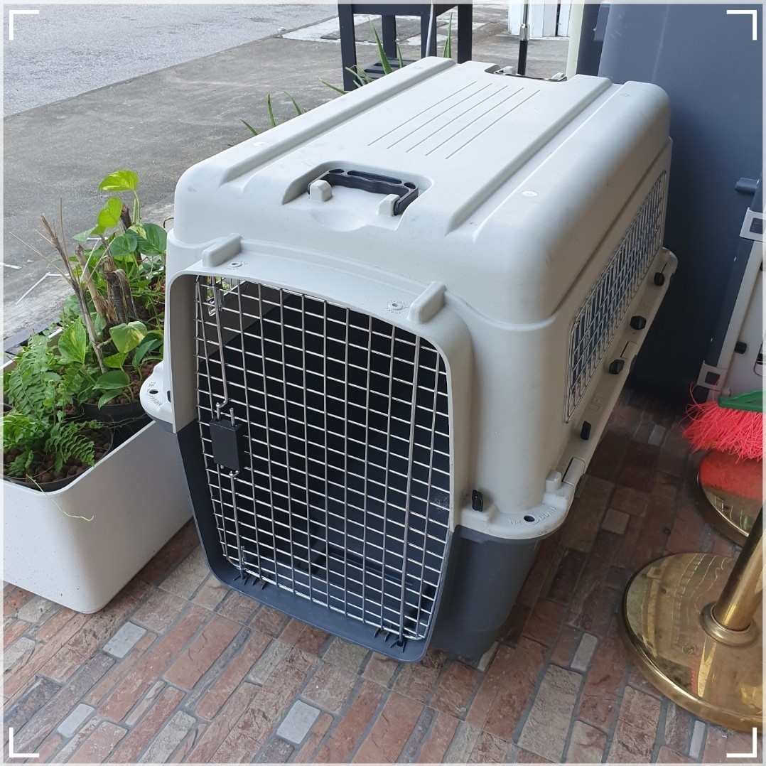 Savic Andes Skudo Airline IATA Approved Pet Carrier Large Dog Crate cat