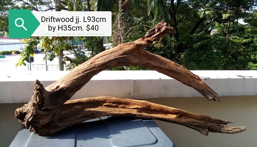 Extra Large sinking driftwood, Pet Supplies, Homes & Other Pet