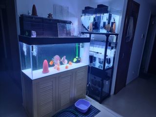 (Category: ) located in . Submitted by youngest34 (Listing ID 1129198785, Image 1). Description: .