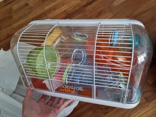 (Category: ) located in . Submitted by limgeneharn (Listing ID 1129147821, Image 1). Description: .