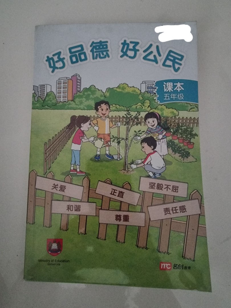 Primary 5 Textbooks School Books P5, Hobbies & Toys, Books & Magazines ...