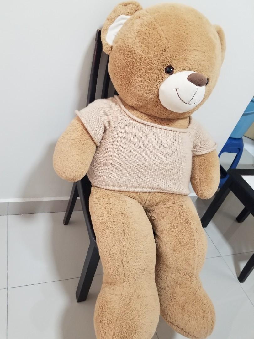 Harga teddy bear kaison store