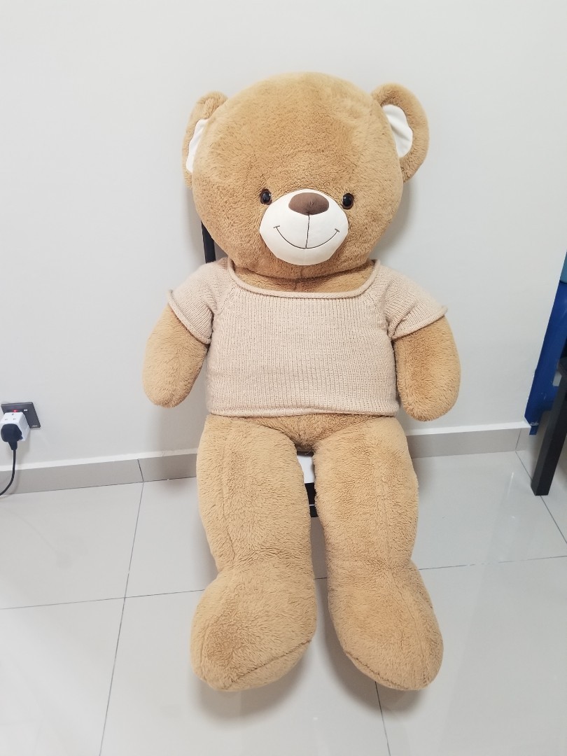 Teddy bear kaison best sale