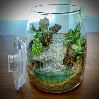 (Category: ) located in . Submitted by gohny (Listing ID 1129228479, Image 1). Description: .