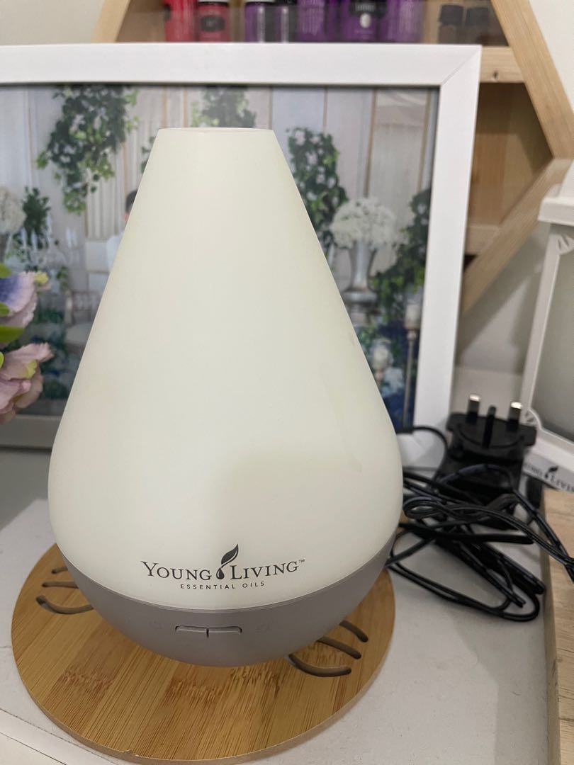 Young Living Looking For On Carou, Parramore 27 Table Lampu