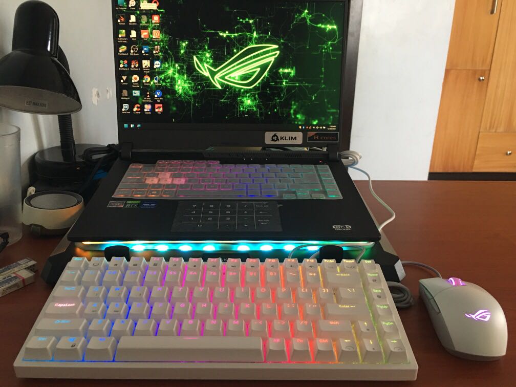 Asus ROG Strix G15 2021 Ryzen 7 4800H RTX 3060 with free mouse at