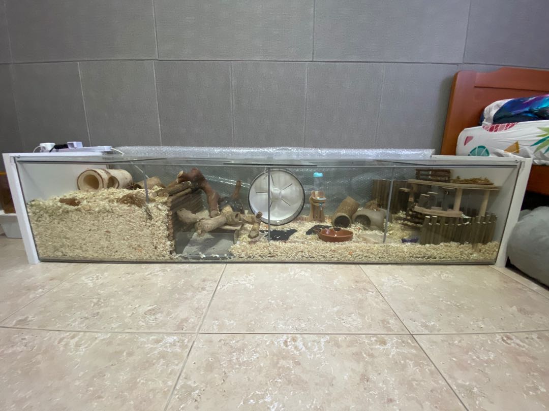 Detolf cage cheap