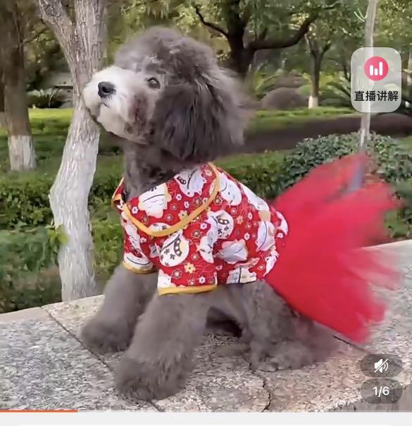 Chinese New Year Dog Dress cheongsam