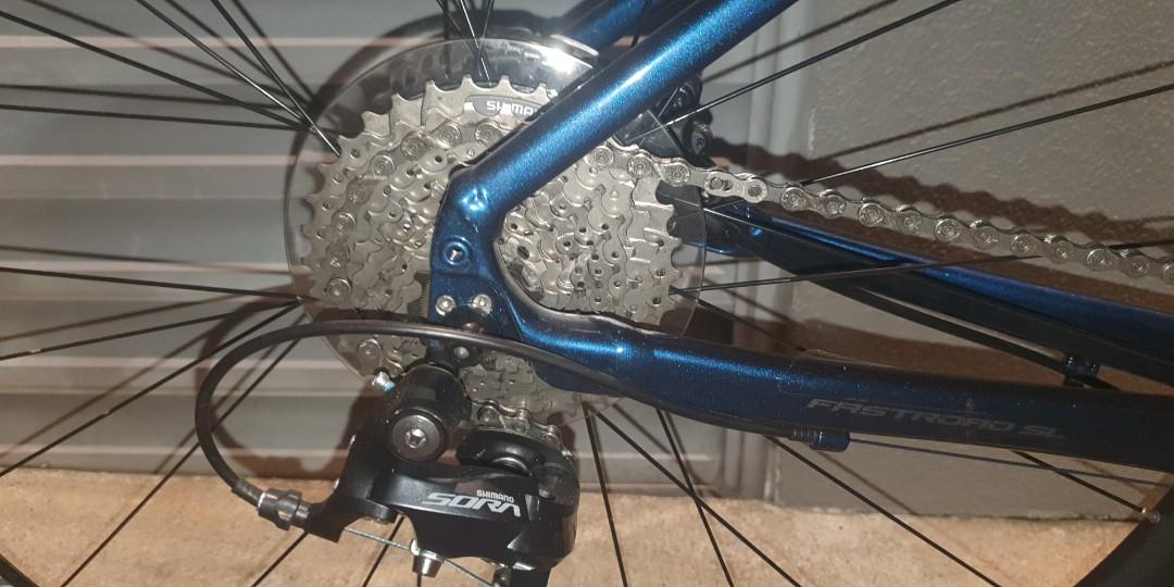 giant roadfast
