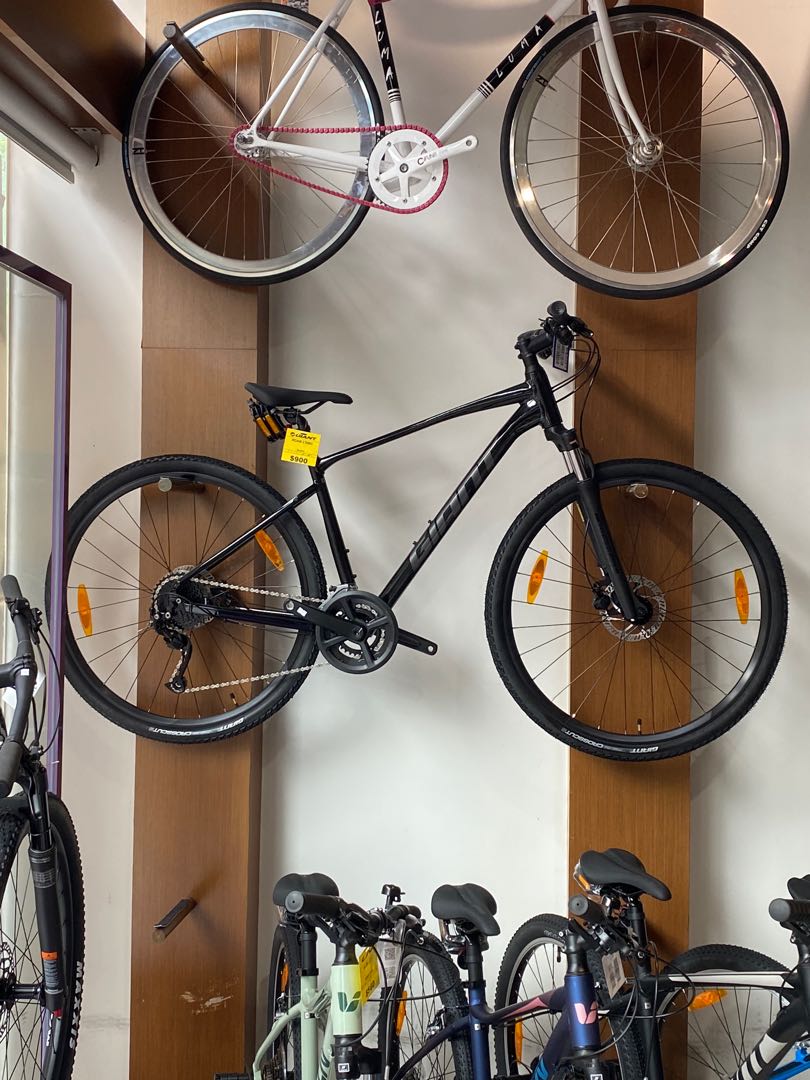 Giant Roam 2 Hybrid 2022, Sports 