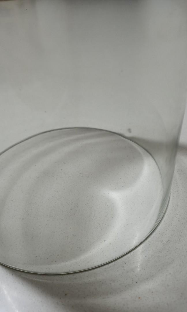 Hurricane Glass Bottomless Cylinder Vase, Furniture & Home Living, Home
