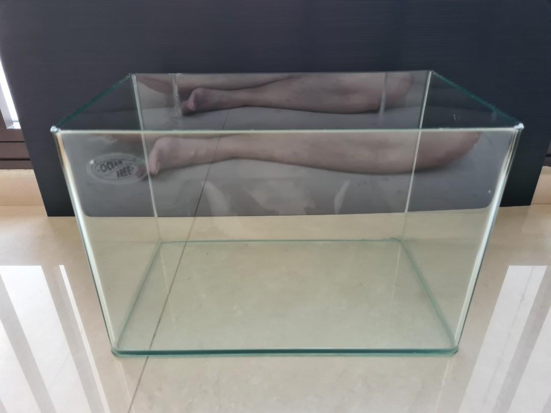 cracked aquarium glass