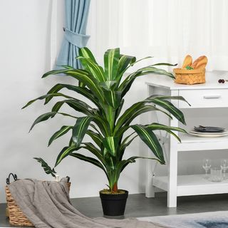 (Category: ) located in . Submitted by altonflowerscomm (Listing ID 1132238080, Image 1). Description: .